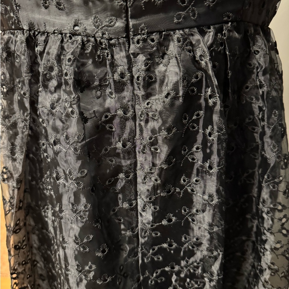 Delia’s black dolls kill floral embroidered Tulle gothic maxi dress NWT🐸 - Picture 6 of 12